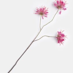 cleome spray  kunstbloem