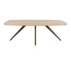 Arvada, eetkamertafel 220 x 110 cm, ovaal, 4 poot - Steel Brown