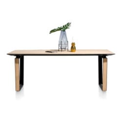 Darwin, eetkamertafel 240 x 100 cm
