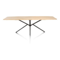 Home, table ovale 250 x 110 cm