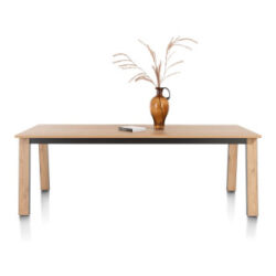 Delmonte, eetkamertafel 200 x 100 cm