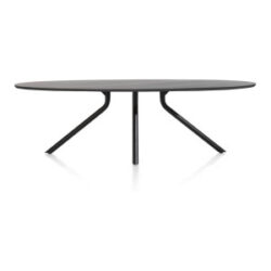Arvada, tafel 250 x 110 cm. - ellips - centrale poot lang - Onyx