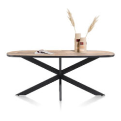 Avalox, table ovale 210 x 110 cm - couleur driftwood - centrale pied