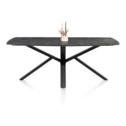 Palace, eetkamertafel 270 x 115 cm - centrale poot - Antraciet