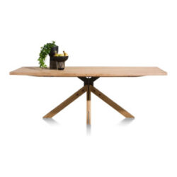 Jardino, eetkamertafel 170 x 100 cm - centrale poot