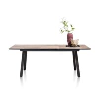 Avalox, uitschuiftafel 160 (+ 50) x 98 cm - kleur driftwood - 4 poot