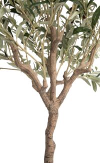 Olive Tree H150cm kunstplant - Groen - Afbeelding 3