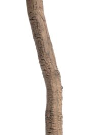 Olive Tree H180cm plante artificielle - Vert - Image 3