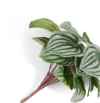 Peperomia Bush H25cm kunstbloem - Groen
