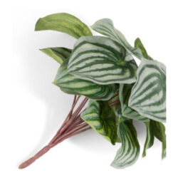 Peperomia Bush H25cm kunstbloem - Groen