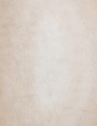 Pressa karpet 200x300cm - Afbeelding 2