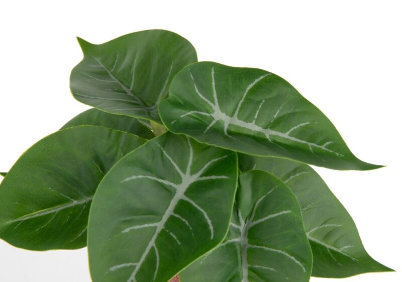Anthurium Mini Bush H13Cm Kunstbloem - Groen - Afbeelding 2