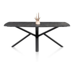 Palace, table 270 x 115 cm - pied central - Anthracite