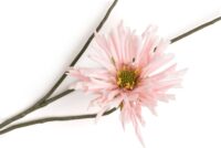 Dahlia Spider Spray fleur artificielle H75cm - Rose - Image 2