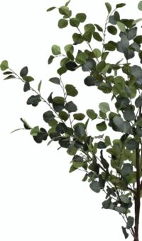 Eucalyptus Tree kunstplant H180cm - Groen - Afbeelding 2