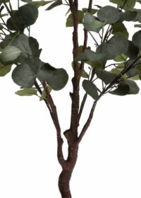 Eucalyptus Tree plante artificielle H140cm - Vert - Image 3