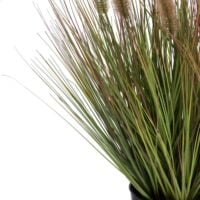 Pennisetum Grass plant H58cm - Groen - Afbeelding 3