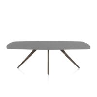 Saluti, eetkamertafel ovaal 240 x 110 cm. - 4 poot - steelbrown - Antraciet