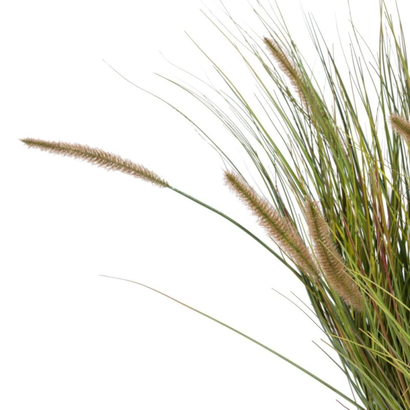 Pennisetum Grass Plant H99Cm - Groen - Afbeelding 2