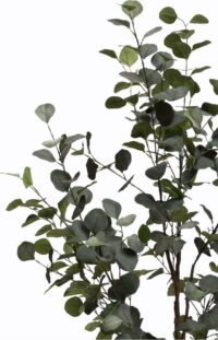 Eucalyptus Tree plante artificielle H140cm - Vert - Image 2