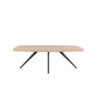 Arvada, eetkamertafel 220 x 110 cm, ovaal, 4 poot - Metal graphite
