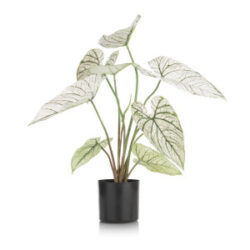 Caladium H60cm kunstplant - Groen