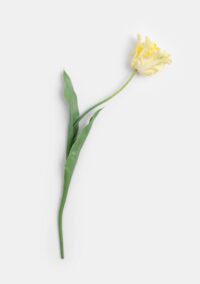 Tulip parrot kunstbloem h68cm - Geel