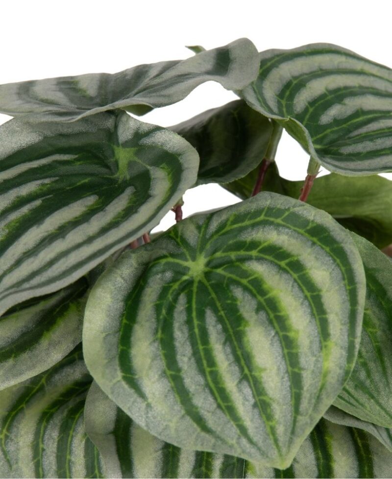 Peperomia Bush H25Cm Kunstbloem - Groen - Afbeelding 2