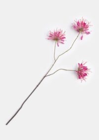 Cleome  fleur artificielle - Rose