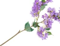 Jasmin Branch fleur artificielle H115cm - Pourpre - Image 2