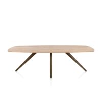 Arvada, eetkamertafel 250 x 110 cm, ovaal, 4 poot - Steel Brown