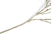 Olive Leaf Spray H82cm kunstbloem - Groen - Afbeelding 3