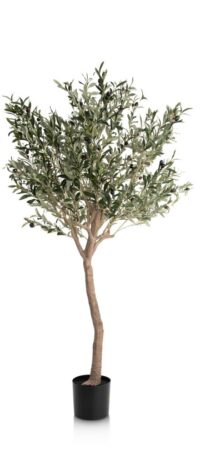 Olive Tree H180cm plante artificielle - Vert