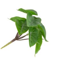 Anthurium Mini Bush H13cm kunstbloem - Groen