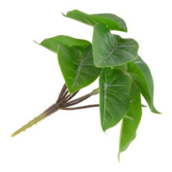 Anthurium Mini Bush H13cm kunstbloem - Groen