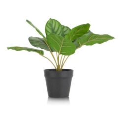 Calathea Orbifolia H45cm kunstplant - Groen