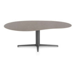 Saluti, table organic 210 X 120 cm. - pied central - graphite - Lava