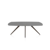 Saluti, eetkamertafel ovaal 210 x 105 cm. - 4 poot - steelbrown - Antraciet