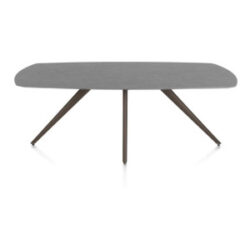 Saluti, table ovale 210 x 105 cm. - 4 pieds - steelbrown - Anthracite