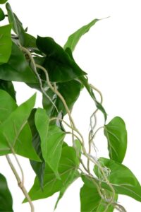 Philodendron Scandens H80cm kunstplant - Groen - Afbeelding 2