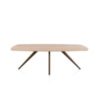 Arvada, eetkamertafel 220 x 110 cm, ovaal, 4 poot - Steel Brown