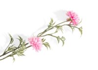 Ball Mum Spray H93cm - Roze - Afbeelding 2