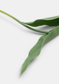 Tulip parrot kunstbloem h68cm - Geel - Afbeelding 2