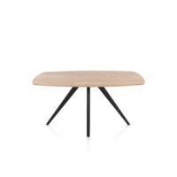 Arvada, Table &agrave; manger 160 x 100 cm, ovale, 4 pieds - Rough off black