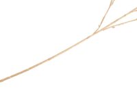 Bauhinia Branch H115cm kunstbloem - Paars - Afbeelding 3