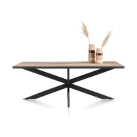 Avalox, table 200 x 98 cm - couleur driftwood - centrale pied
