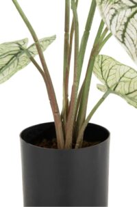 Caladium H60cm kunstplant - Groen - Afbeelding 3