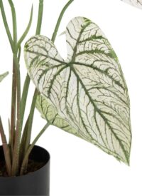 Caladium H60cm kunstplant - Groen - Afbeelding 2