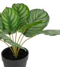 Calathea Orbifolia H45cm kunstplant - Groen - Afbeelding 2