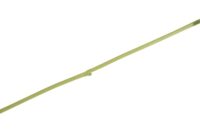 Tropaeolum Spray H88cm kunstbloem - Groen - Afbeelding 2